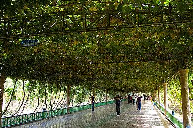 《守望先锋》新活动传奇皮肤历年最少 官方解释2022年推出更多